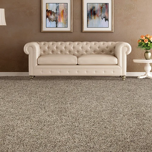 Easton Flooring providing easy stain-resistant pet friendly carpet in Willow Grove, PA
