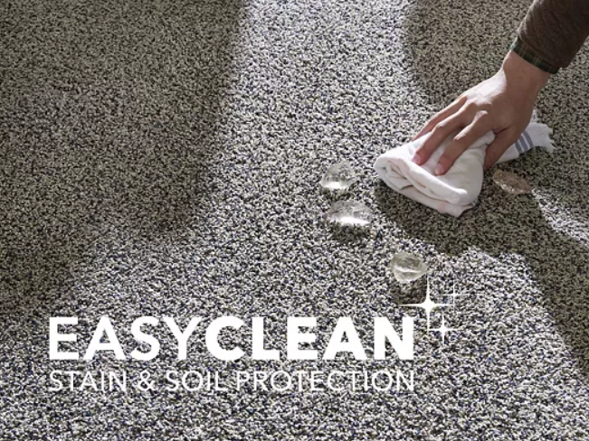 Cleaning water on a carpet floor with Easy Clean technology